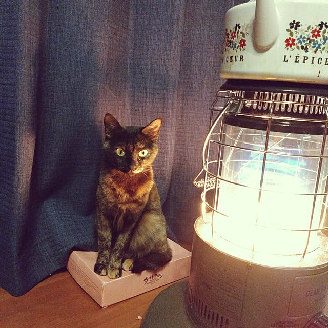 mamekoさんの実例写真