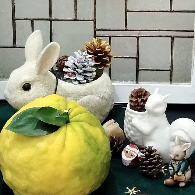lui1998さんの実例写真