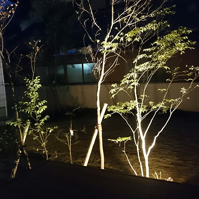 momoさんの実例写真