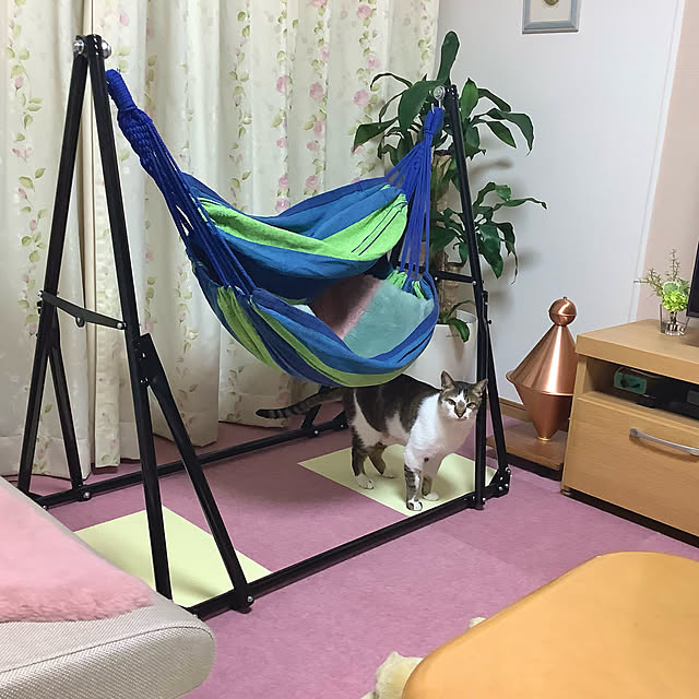 haruminさんの実例写真
