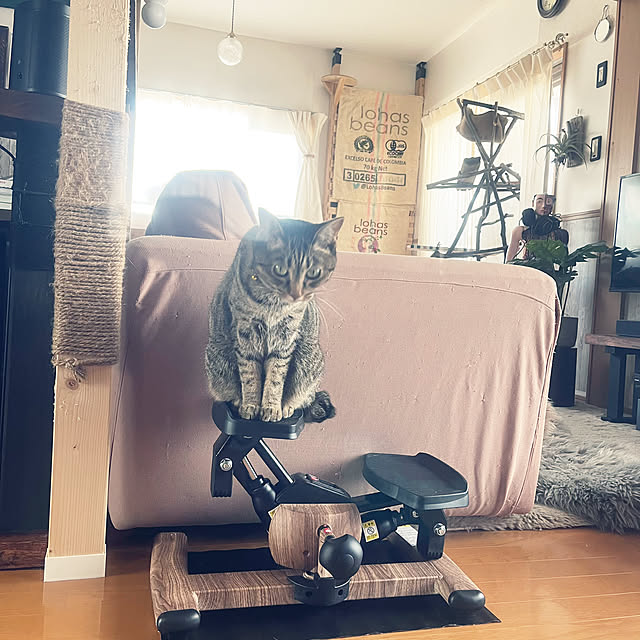 Mさんの部屋