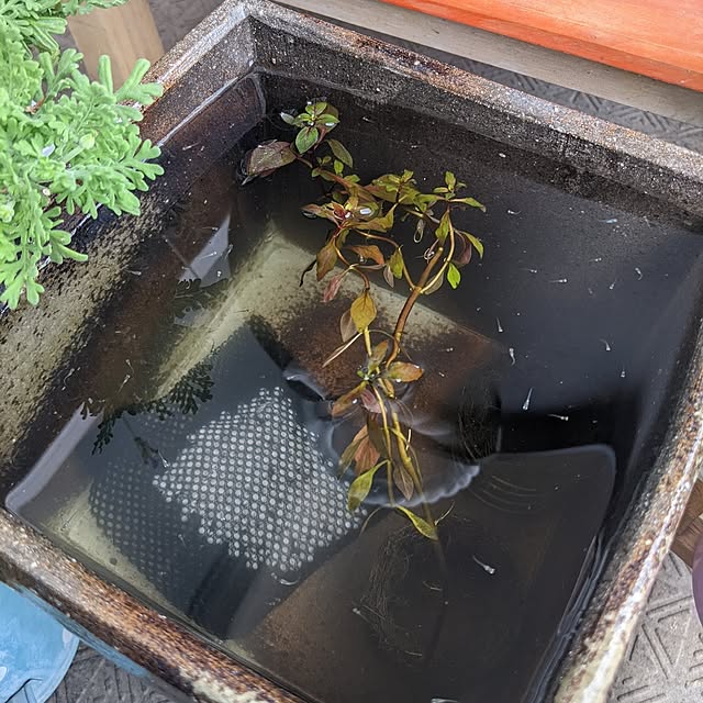 mi-saさんの部屋