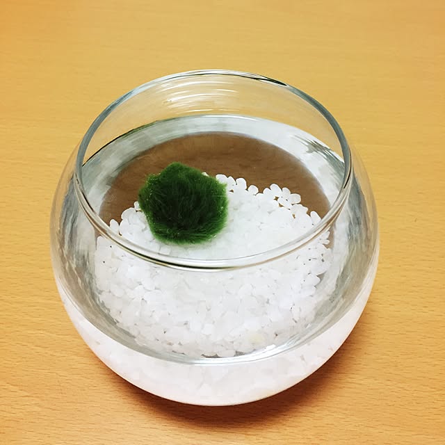 nukoさんの実例写真