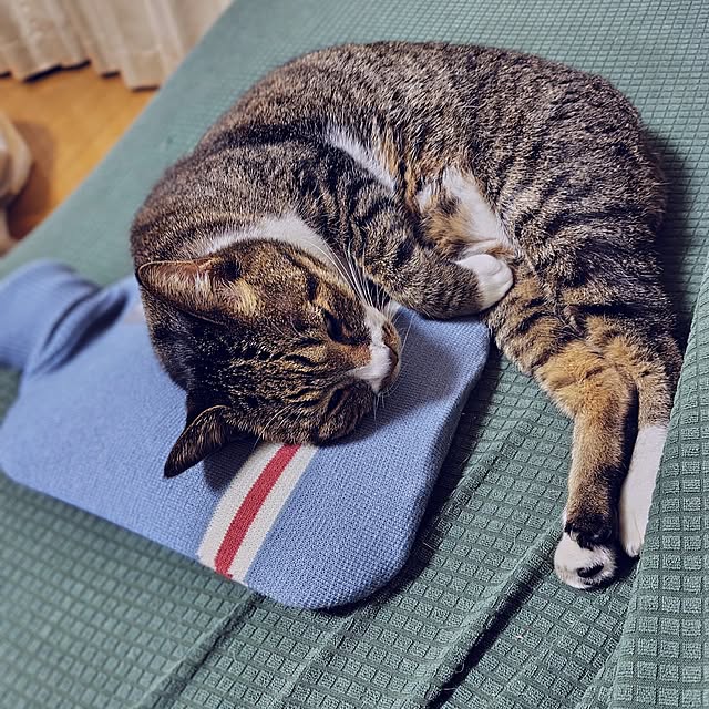 nachiさんの部屋