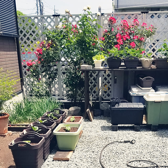 erusaraさんの実例写真
