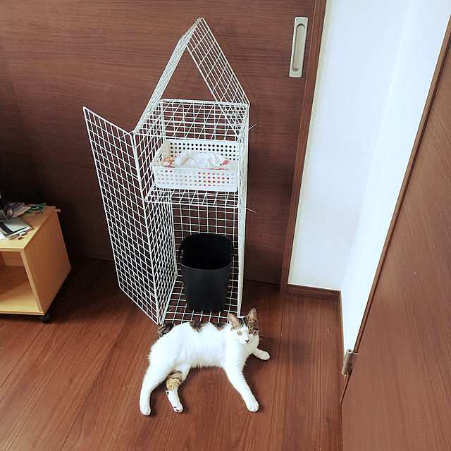 Mikaさんの実例写真