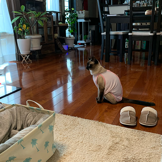 shi622さんの実例写真
