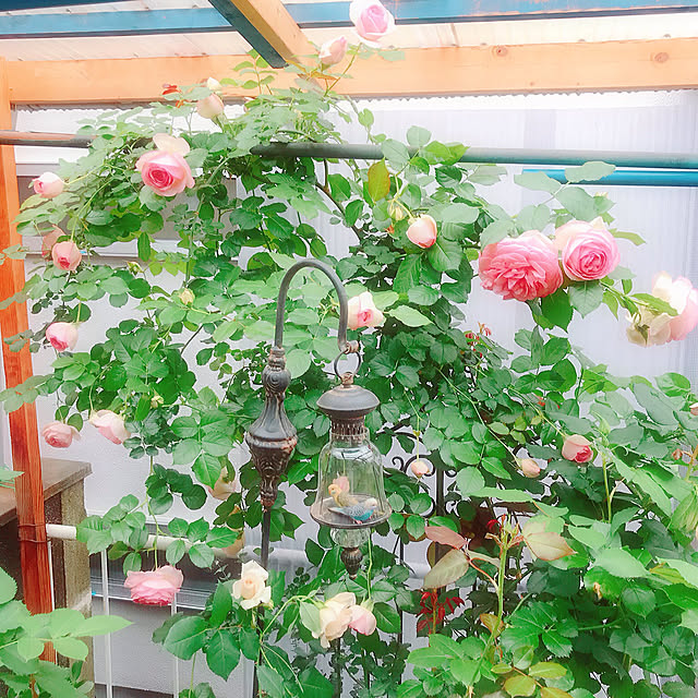 hrd_m.kさんの実例写真