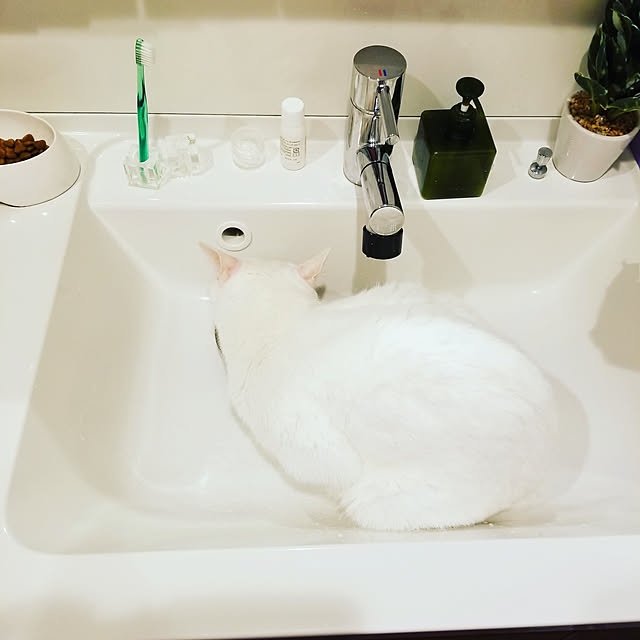 keikomokonさんの実例写真
