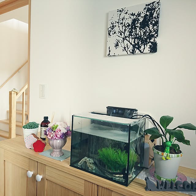 玄関/入り口/水槽のある部屋/観葉植物/注文住宅/マリメッコファブリックパネル...などのインテリア実例 - 2017-05-01 15:03:10