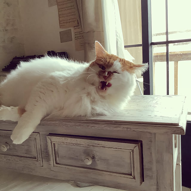 mannersさんの実例写真