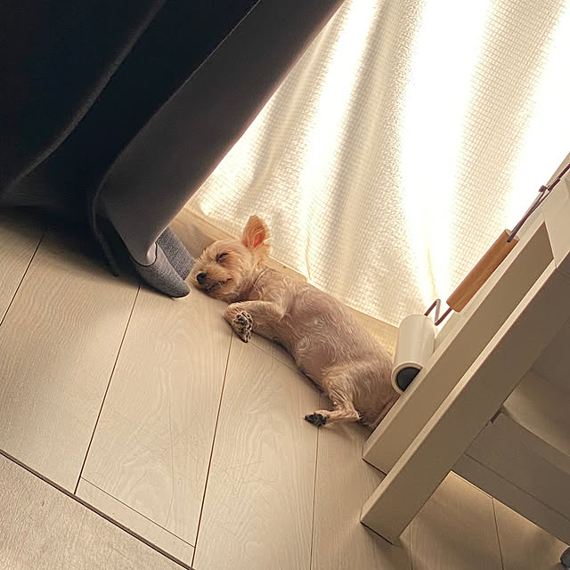 ohanaさんの実例写真