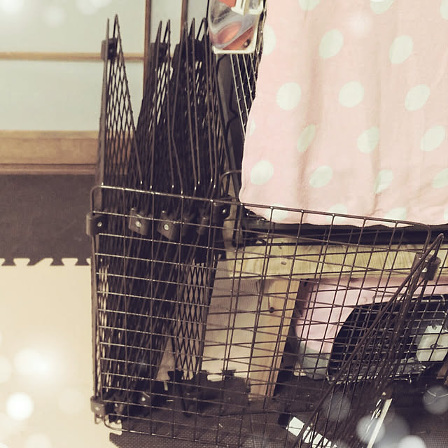 littlemomさんの実例写真