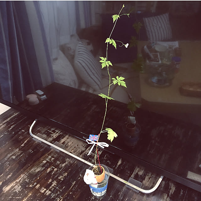takakoさんの実例写真