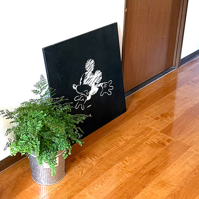 mizuyoさんの実例写真