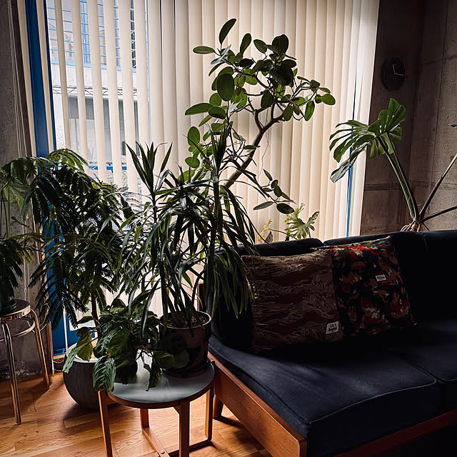 Youkiさんの実例写真