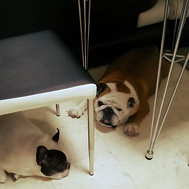 panchobiさんの実例写真