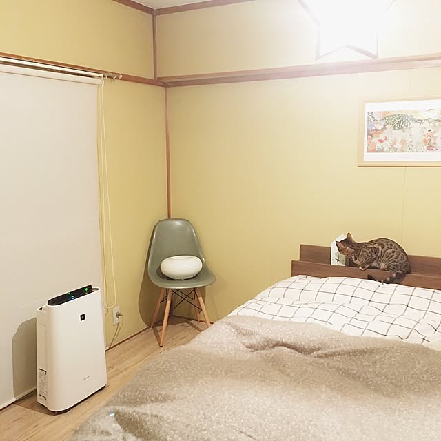 anさんの実例写真