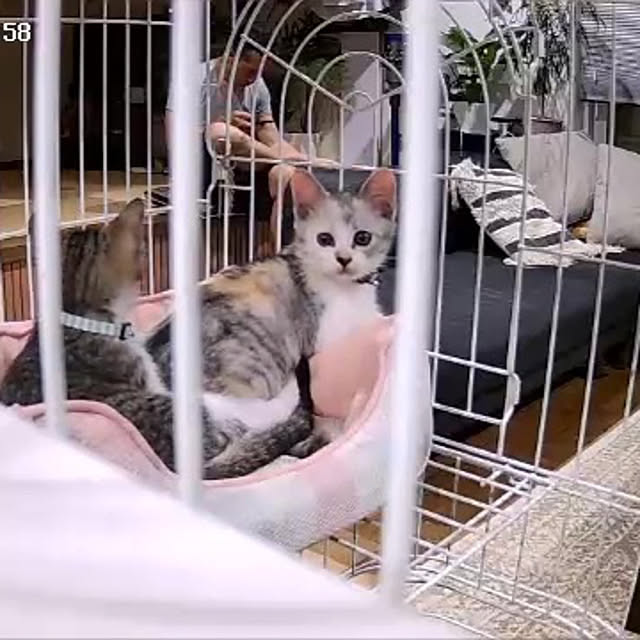 moainanoさんの実例写真