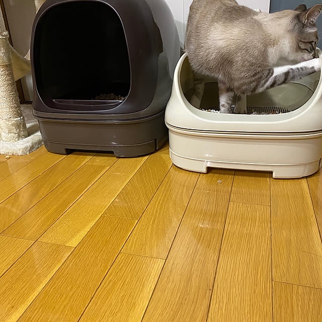 konanaka08さんの実例写真
