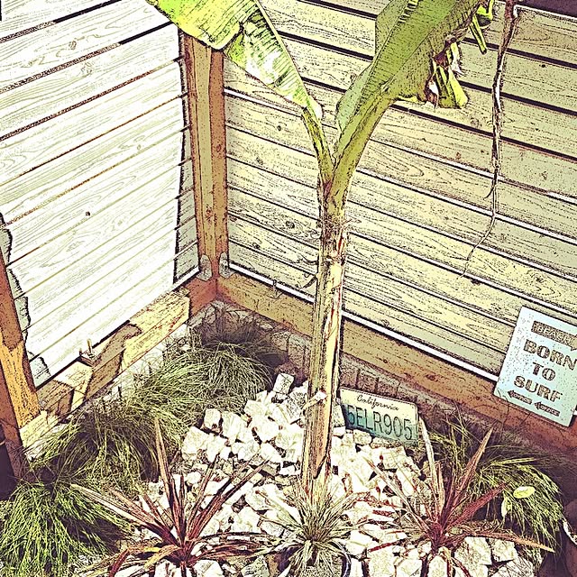 Kojiさんの実例写真