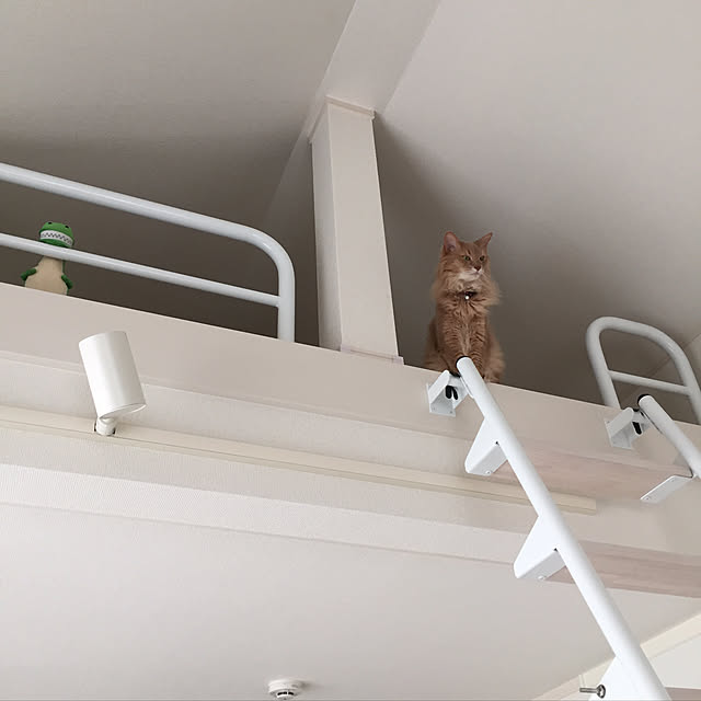 mofucatさんの実例写真
