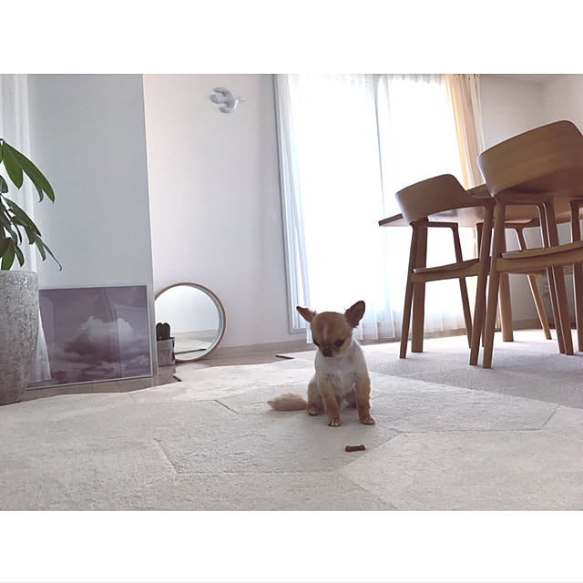 haruhinaさんの実例写真