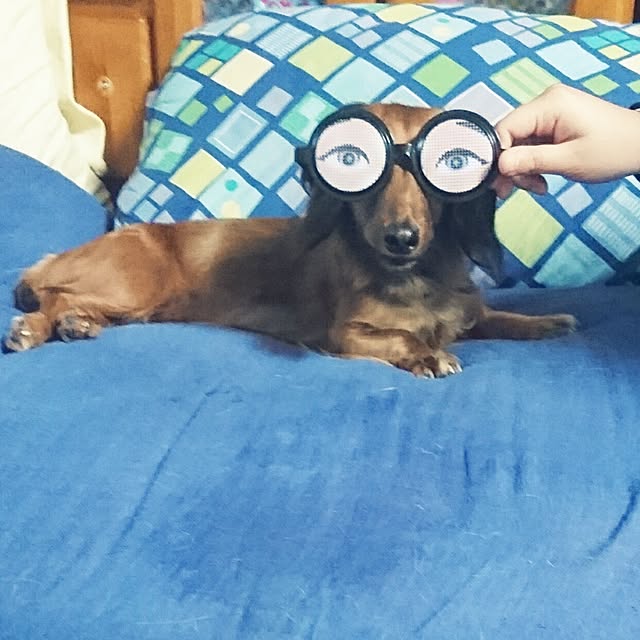 andさんの実例写真