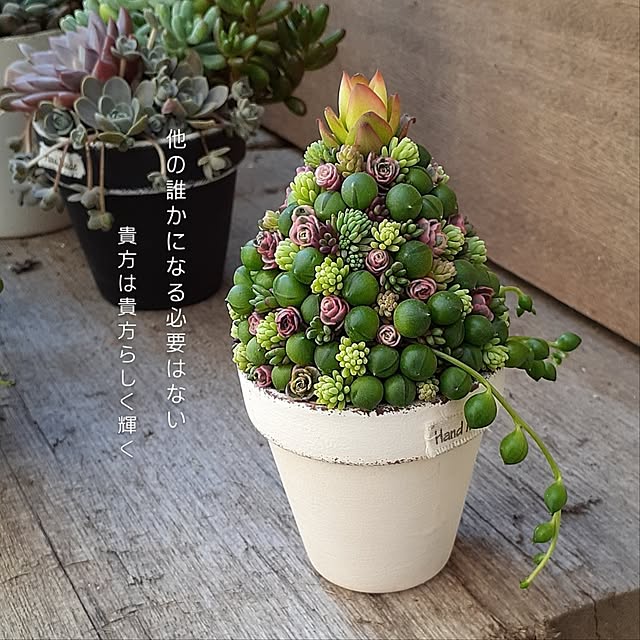 amtさんの実例写真