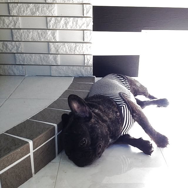 monosisさんの実例写真