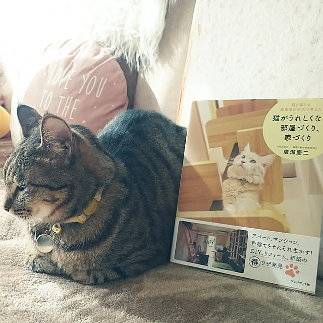 nanoさんの実例写真