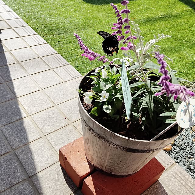 misakiさんの部屋