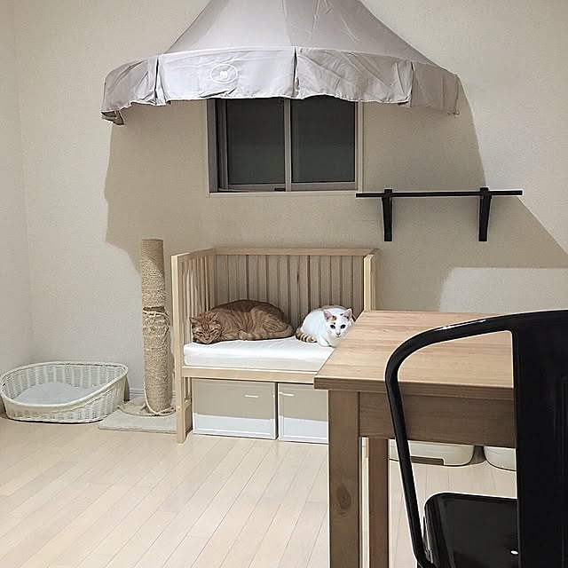 Minaさんの実例写真