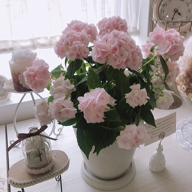 hiroさんの部屋