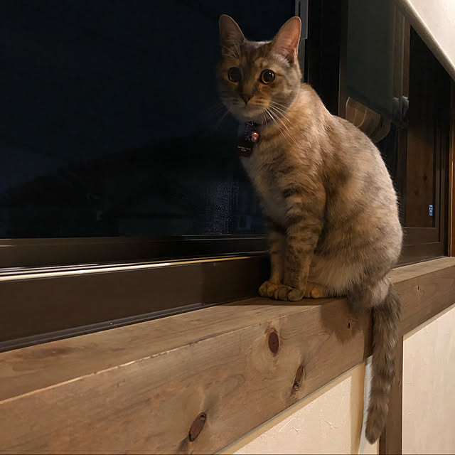 PU930さんの実例写真