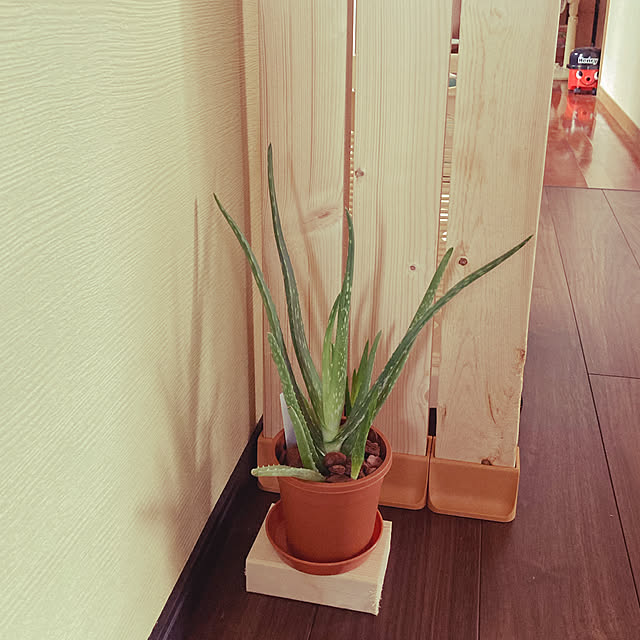 satoさんの実例写真