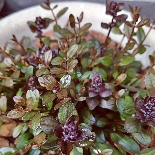 hiro.904さんの実例写真