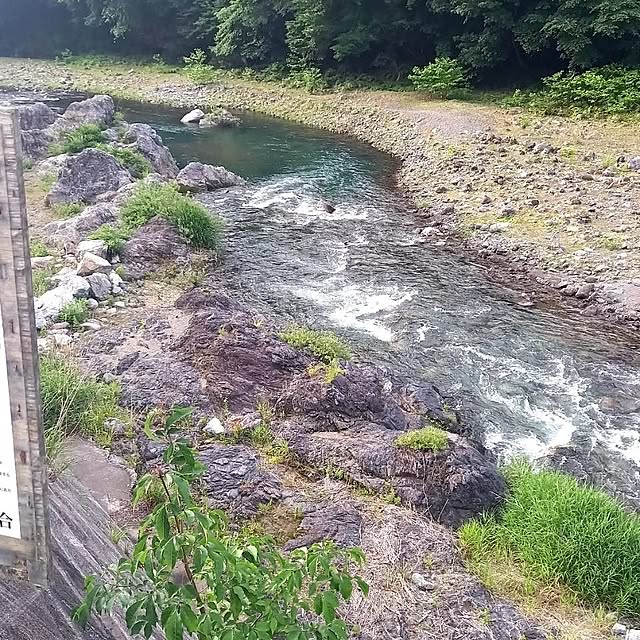実例写真