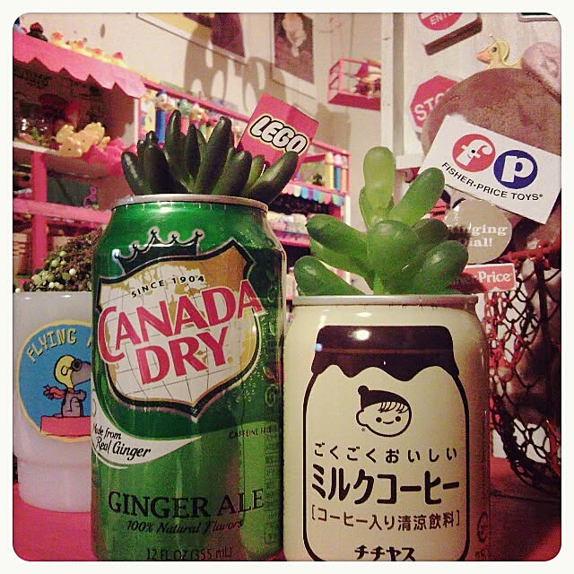 matruko...さんの実例写真