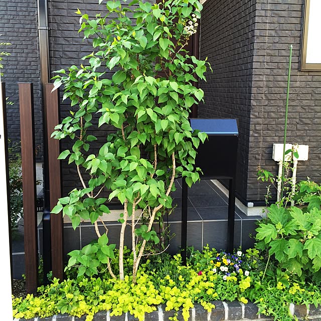 yasuyoさんの実例写真