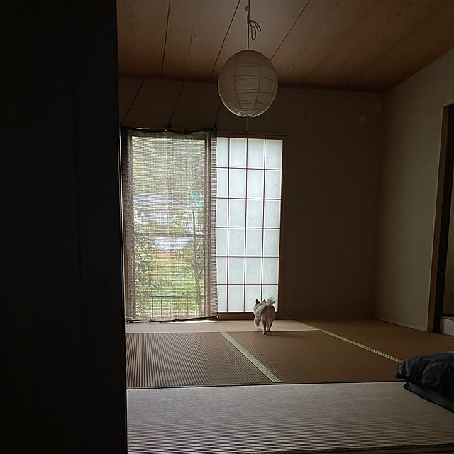 natsumiさんの部屋