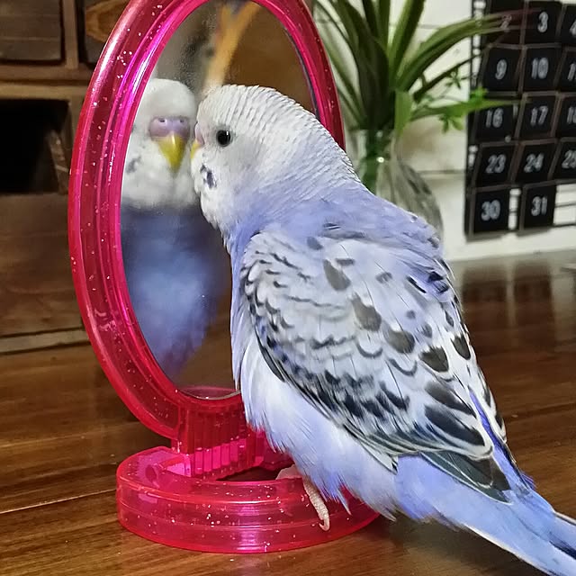 karinさんの実例写真