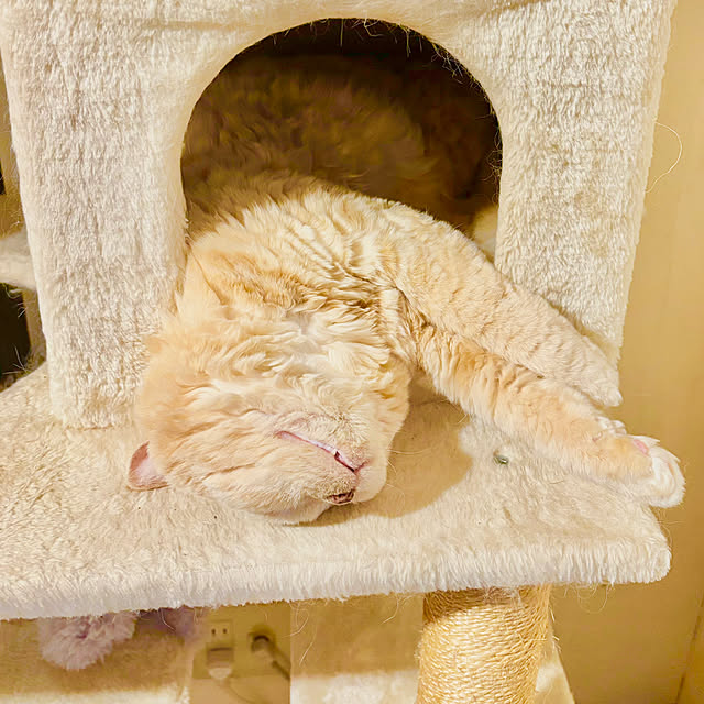 naokoさんの部屋