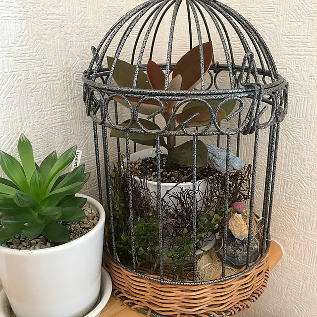 rosemaryさんの実例写真
