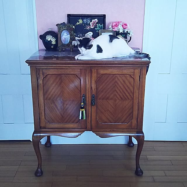 sakuraさんの実例写真