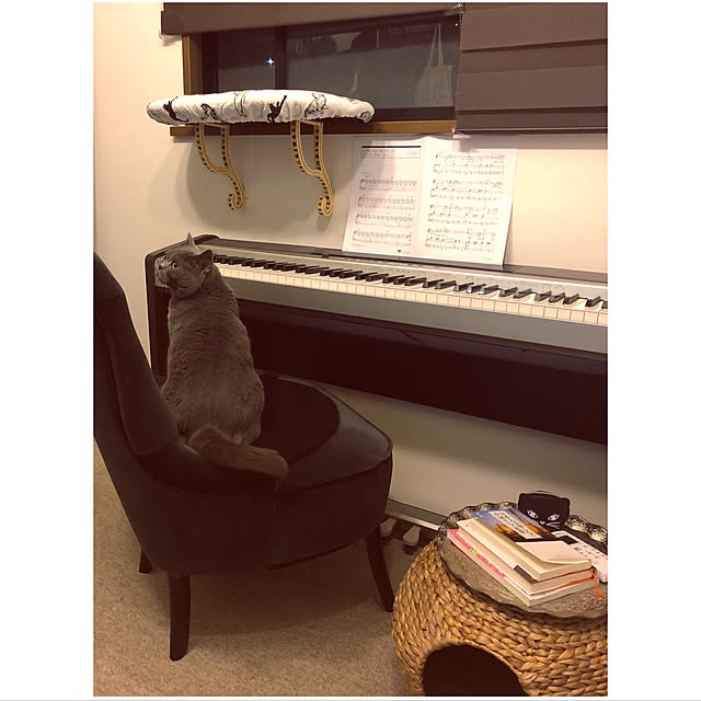 BTGさんの実例写真