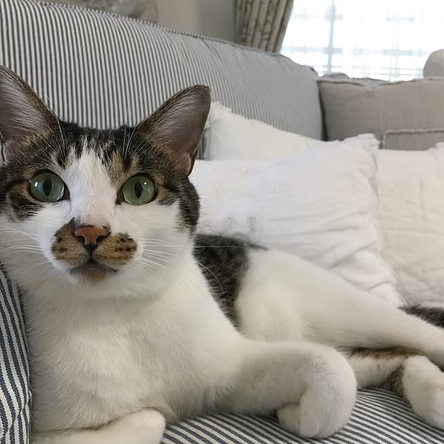 yuchiさんの実例写真