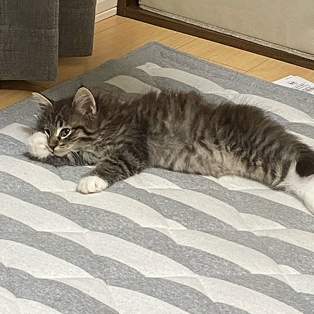 sh.0514さんの実例写真