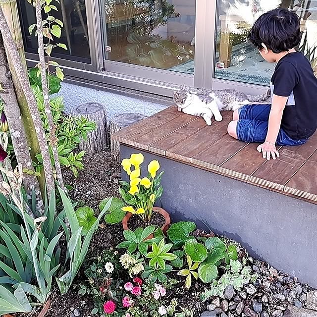 Saranさんの実例写真