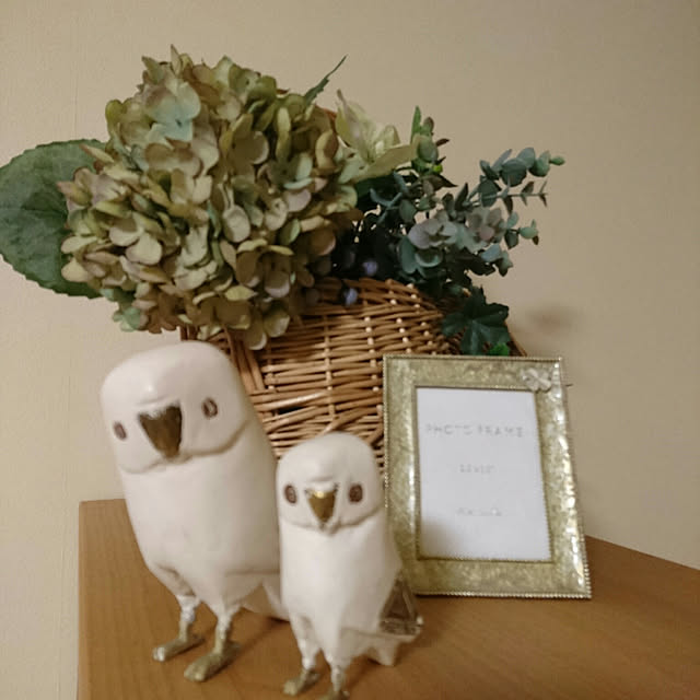 mofumofu55さんの実例写真